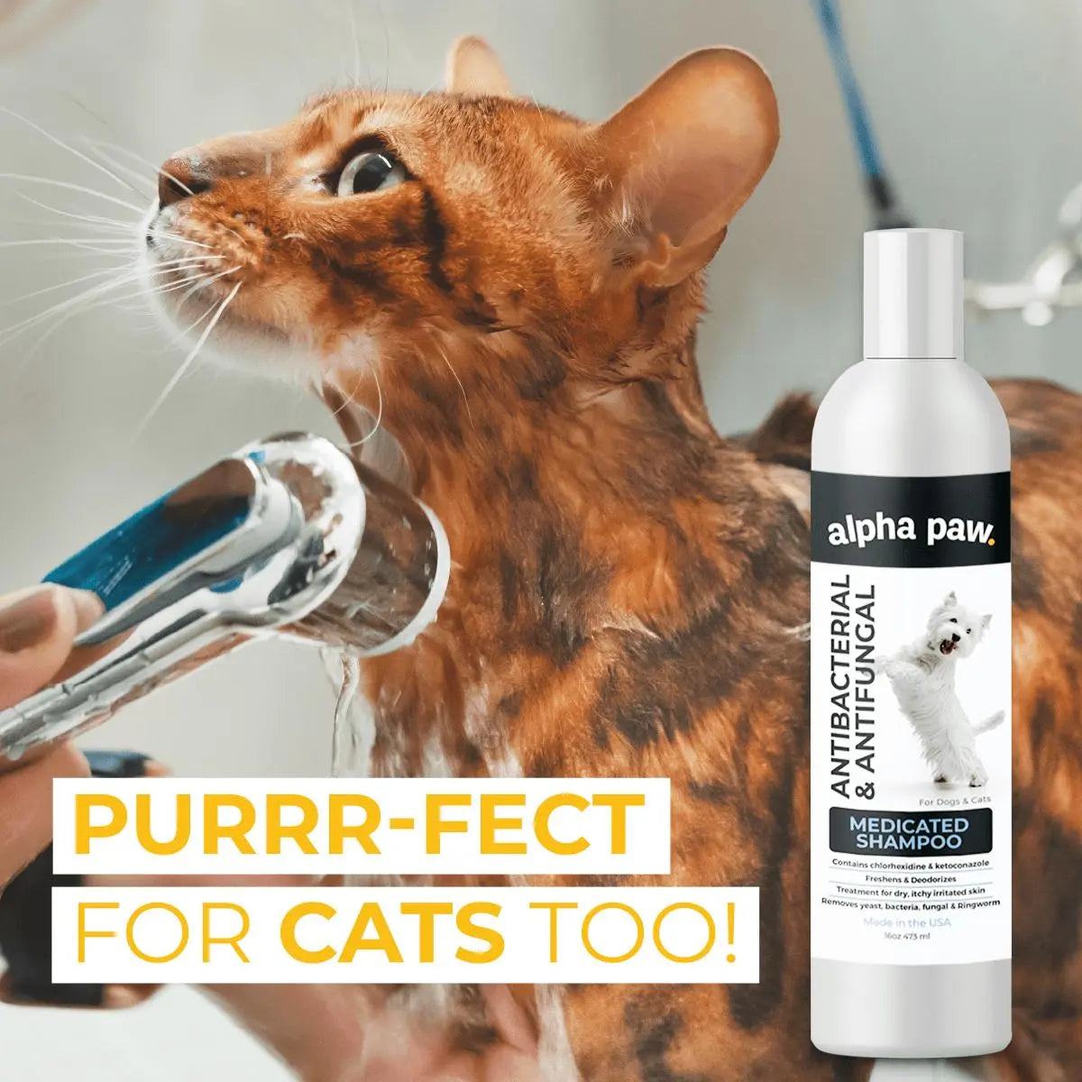 Alpha Paw - Antibacterial & Antifungal Medicated Shampoo - For Cats and Dogs Alpha Paw