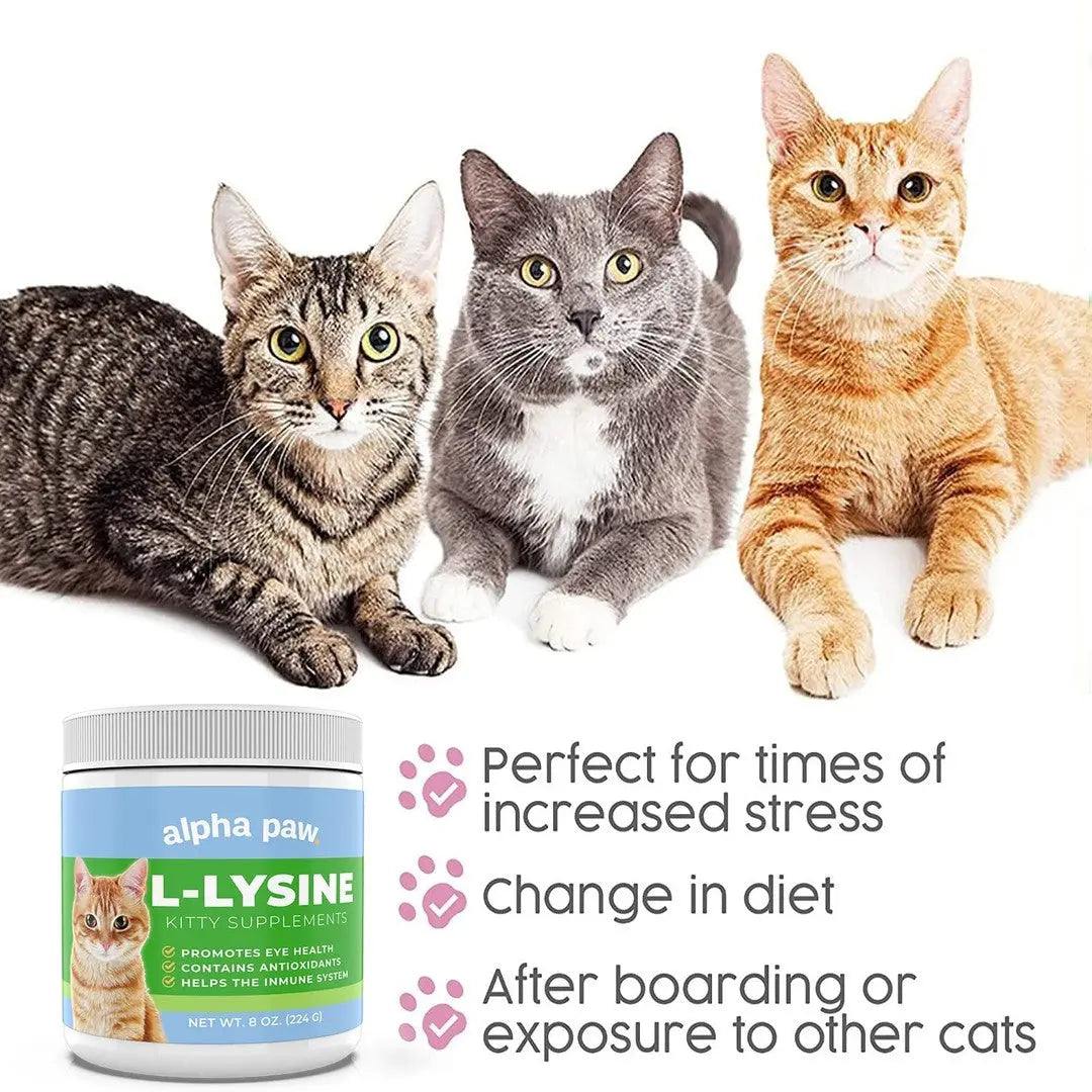 Alpha Paw - Cat L-Lysine - Supplements for Cat Alpha Paw