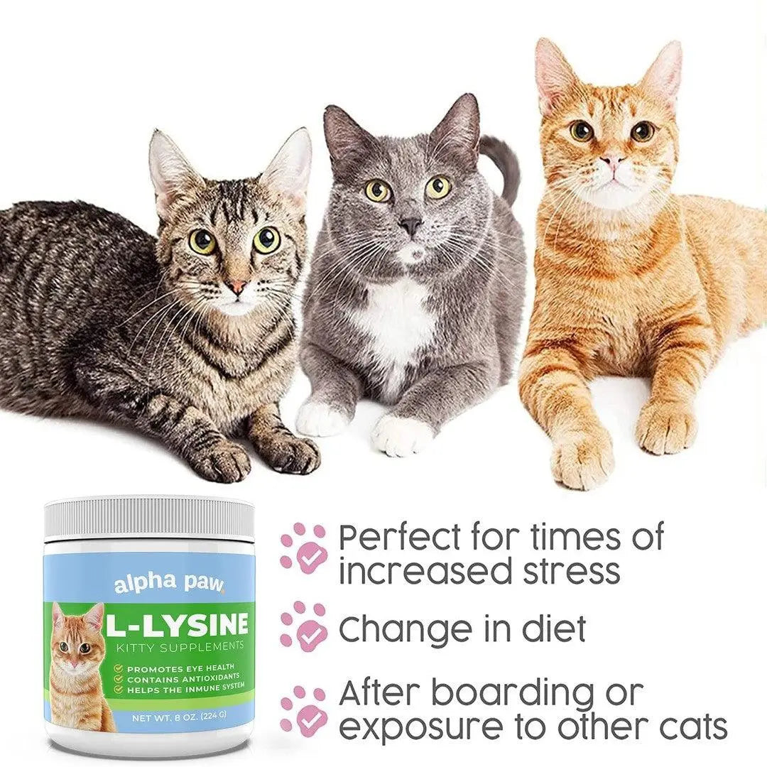 Alpha Paw - Cat L-Lysine - Supplements for Cat - PAWMART.ca