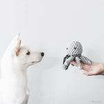 BARKHOLIC - Octopus Dog Toy - PAWMART.ca