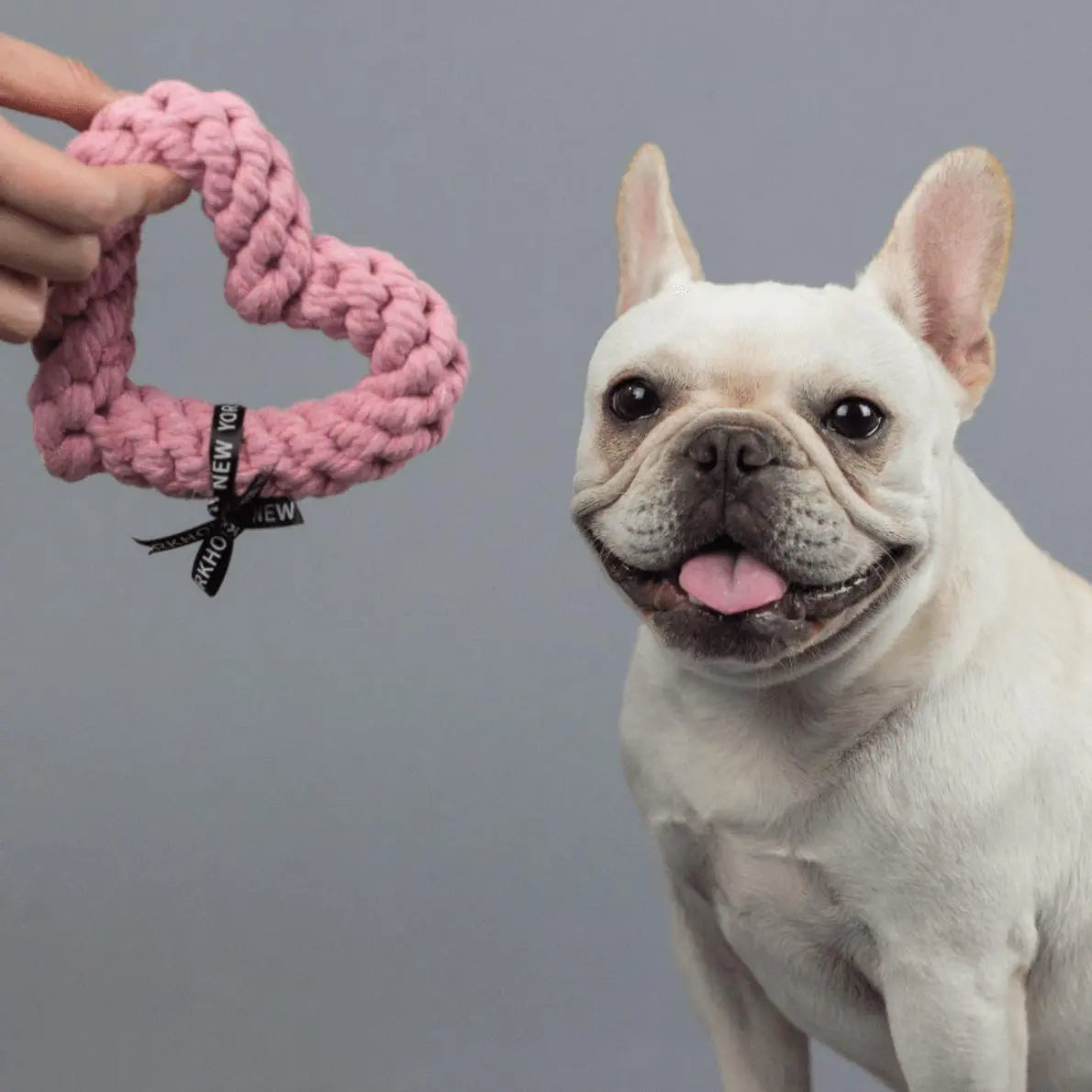 BARKHOLIC - Pink Heart Rope Dog Toy - PAWMART.ca