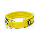 BULLYBILLOWS - 3cm RR - Dog Collar - PAWMART.ca