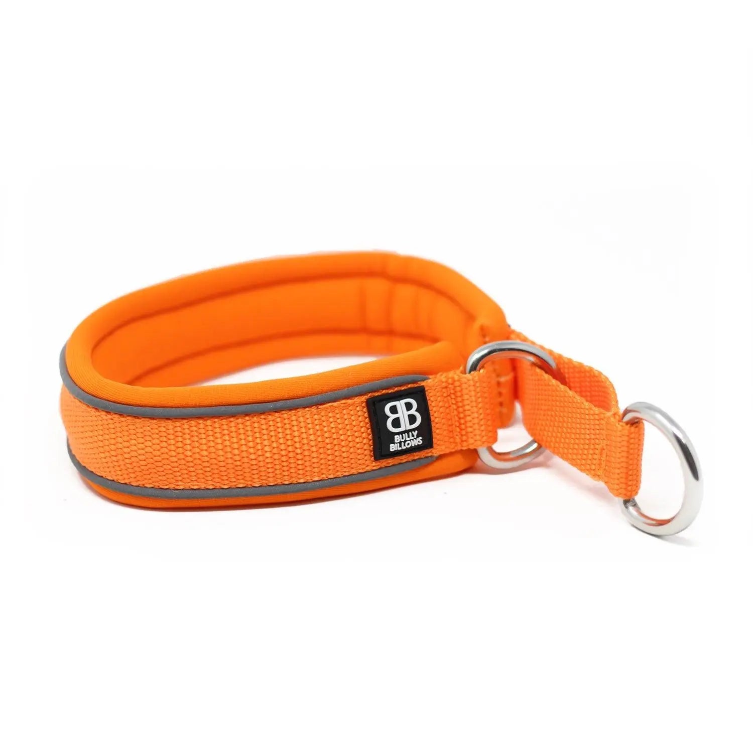 BULLYBILLOWS - 3cm RR - Dog Collar - PAWMART.ca