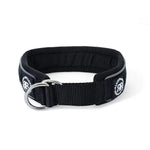 BULLYBILLOWS - 3cm RR - Dog Collar - PAWMART.ca