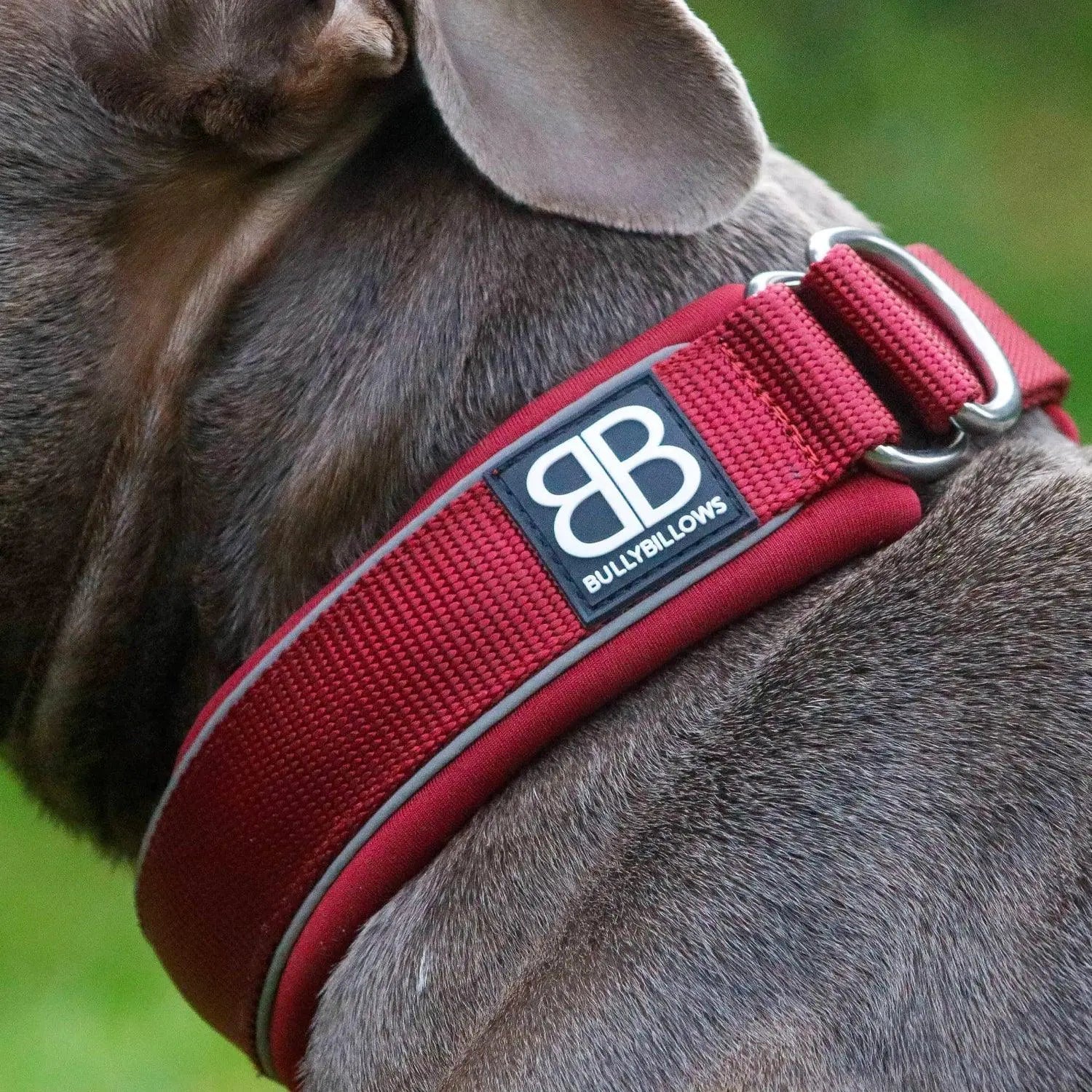 BULLYBILLOWS - 4cm RR - Dog Collar - PAWMART.ca