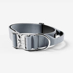 BULLYBILLOWS - 5cm Combat® Dog Collar - PLATINUM - PAWMART.ca