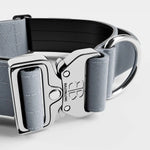 BULLYBILLOWS - 5cm Combat® Dog Collar - PLATINUM - PAWMART.ca