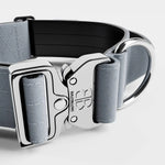 BULLYBILLOWS - 5cm Combat® Dog Collar - PLATINUM BullyBillows