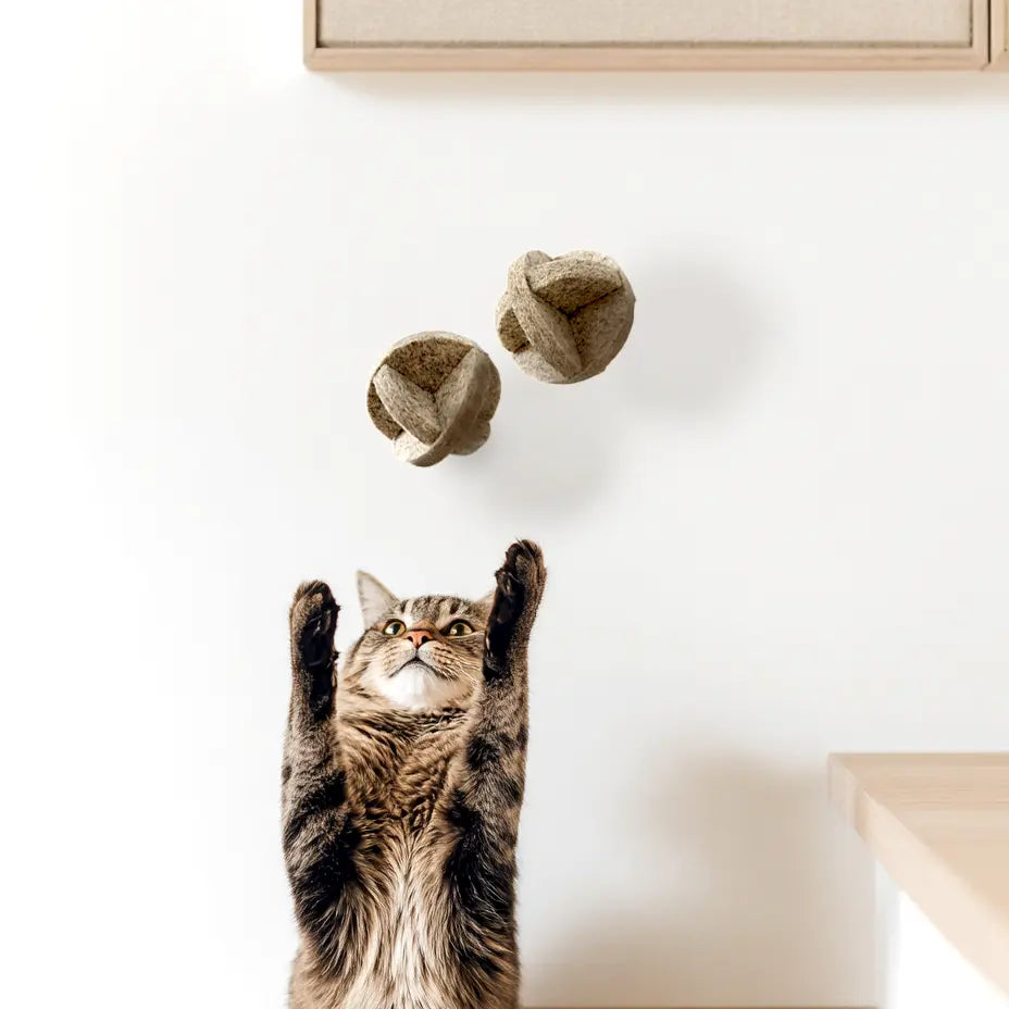 Balles naturelles pour chats, set de 2 | MATT™ MATT Collective