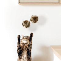 Balles naturelles pour chats, set de 2 | MATT™ MATT Collective