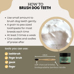 Bamboo Dog Toothbrush - Soft Black Sheep Organics