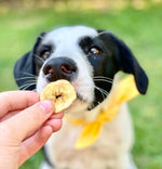 Banana Chips healthybud