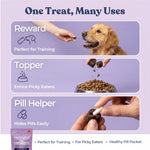 Beef Joint Booster healthybud