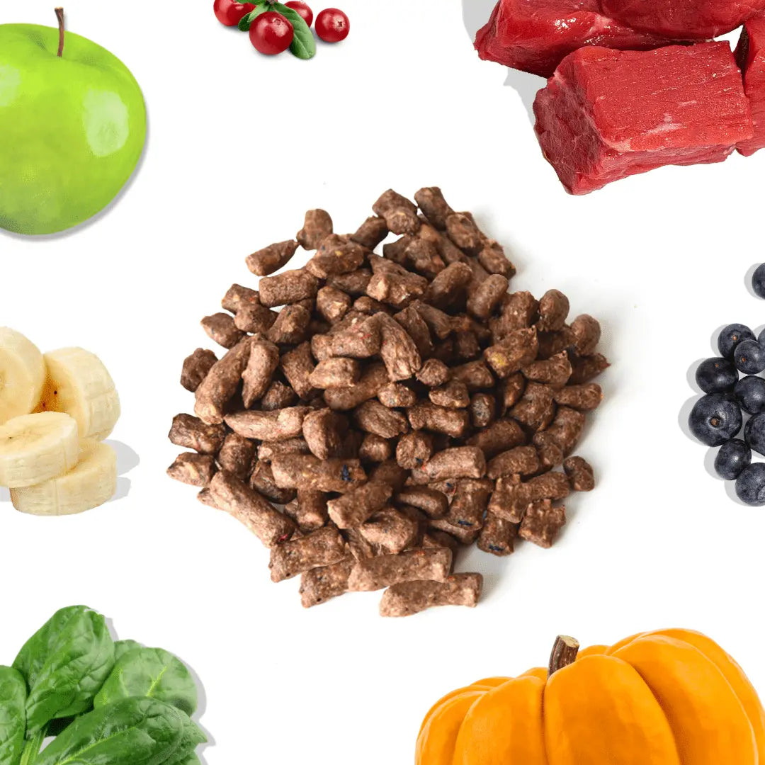 Beef Meal Bites healthybud