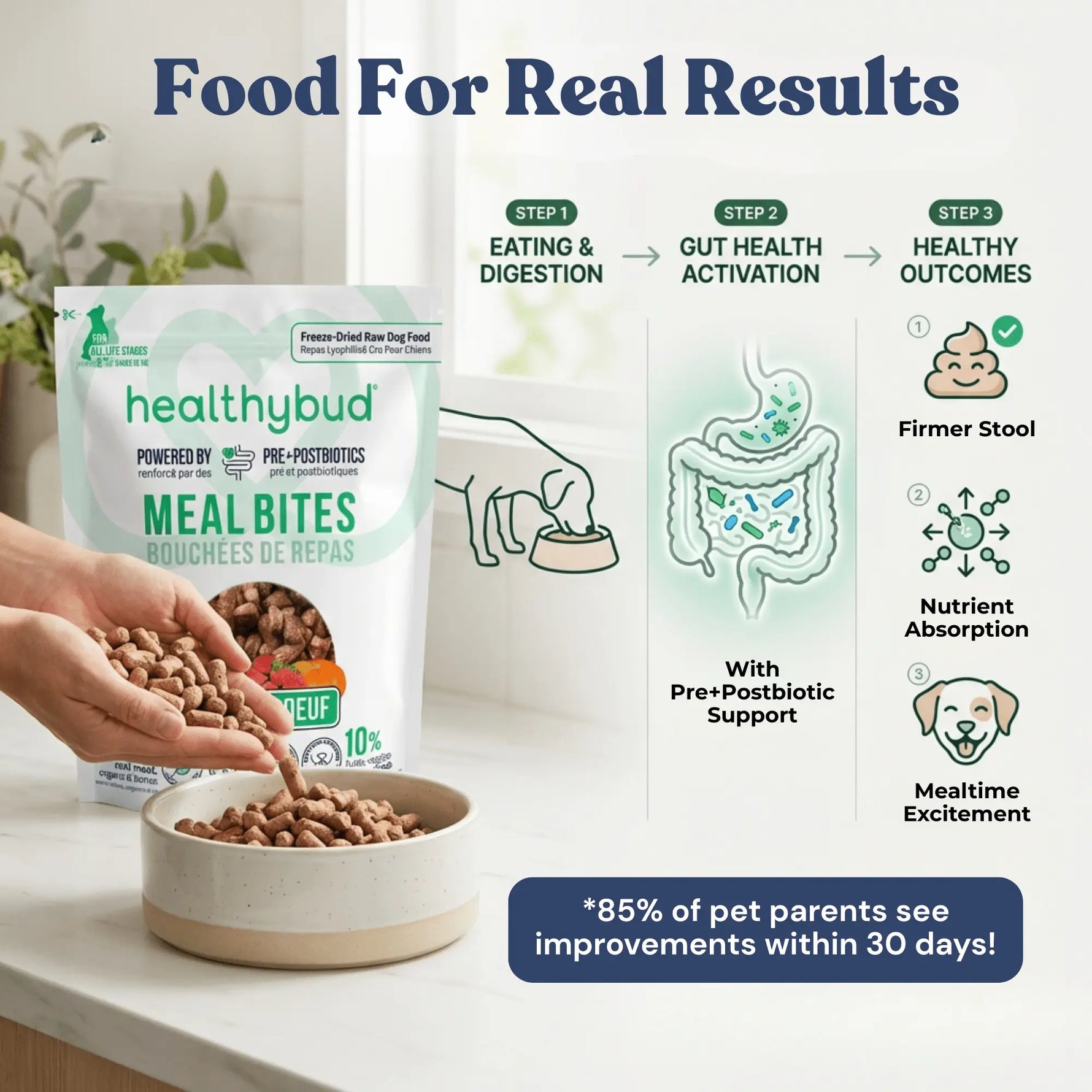 Beef Meal Bites healthybud