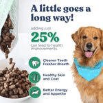 Beef Meal Bites healthybud