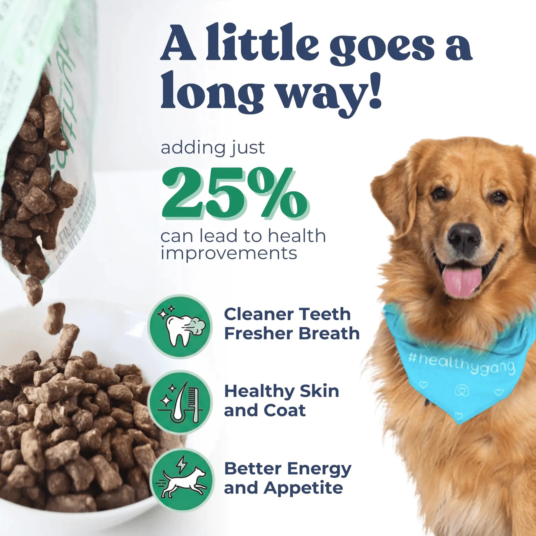 Beef Meal Bites healthybud