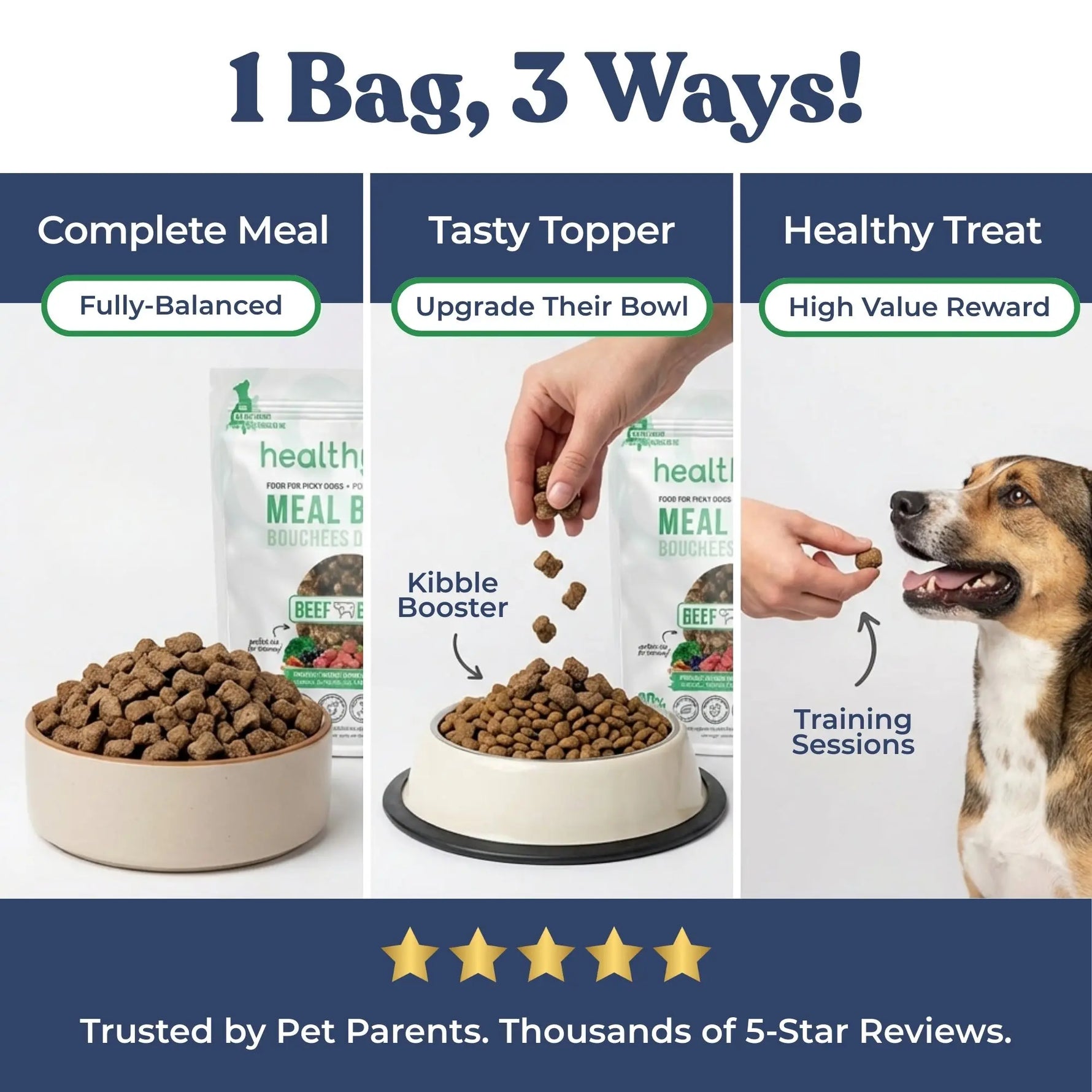 Beef Meal Bites healthybud
