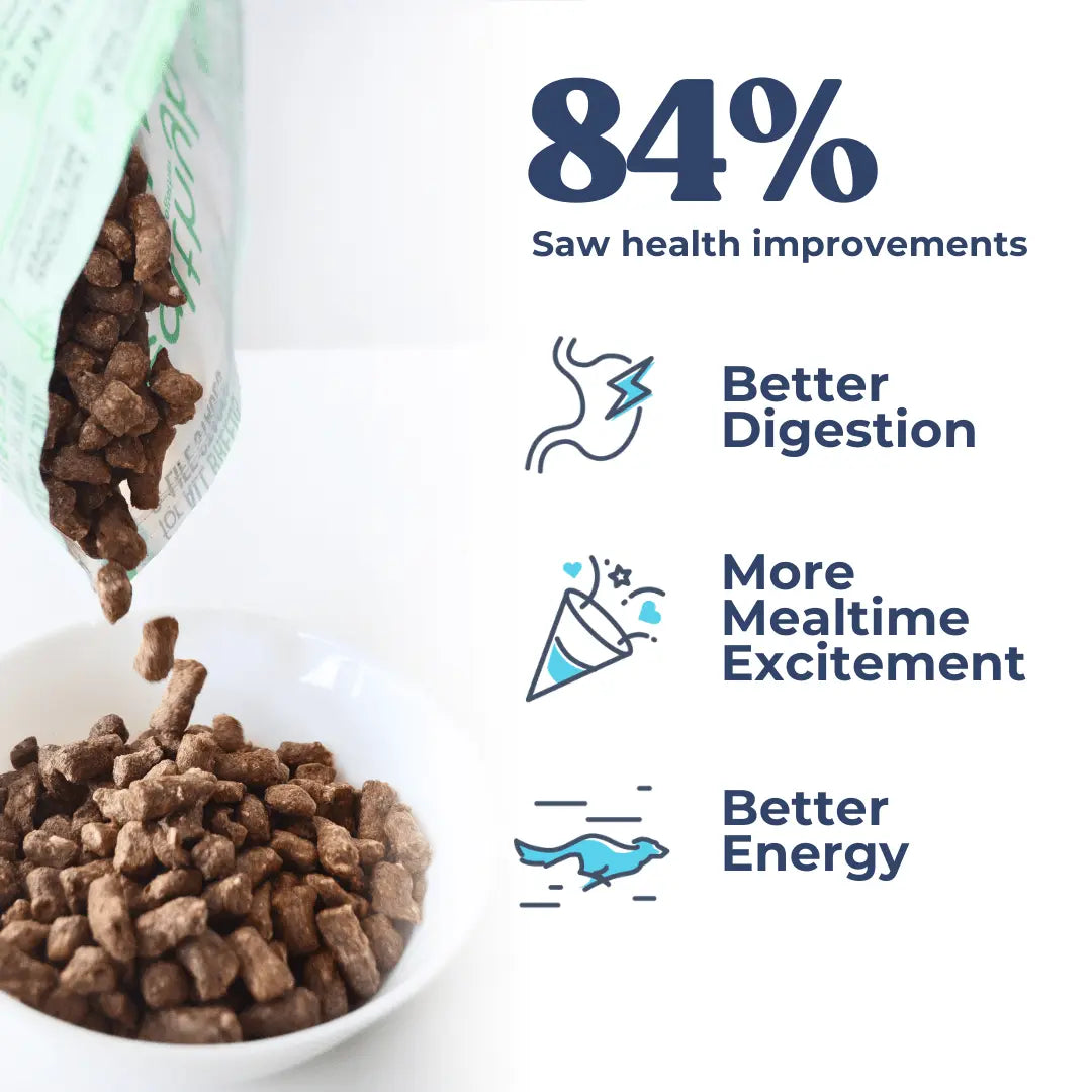 Beef Meal Bites healthybud