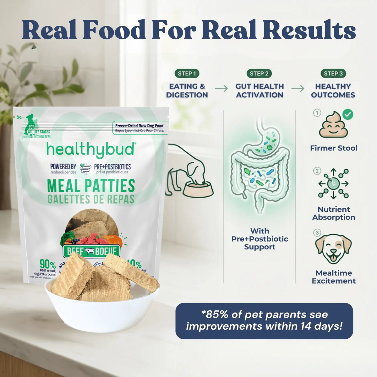 Beef Meal Patties healthybud