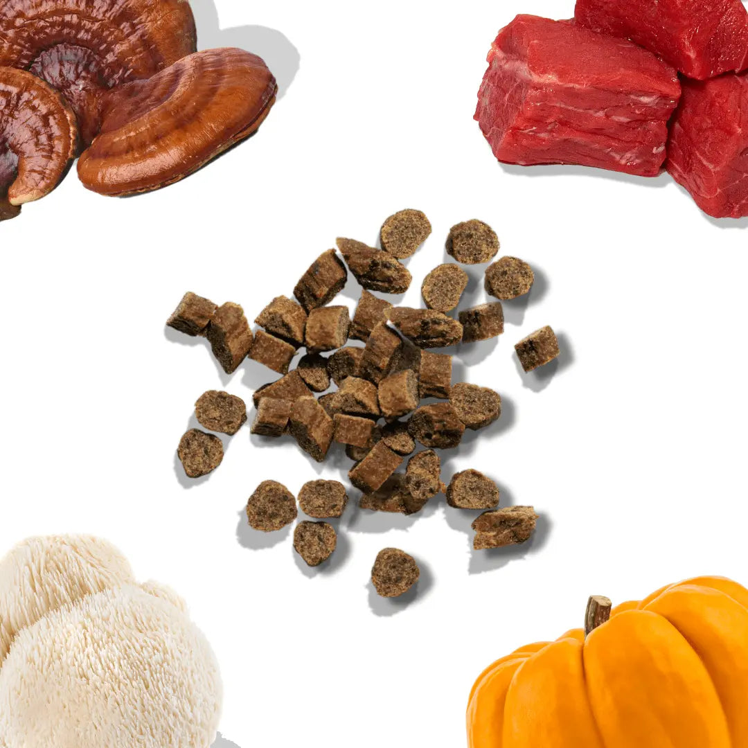 Beef Mini Training Treats healthybud