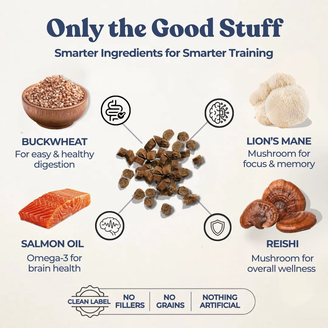Beef Mini Training Treats healthybud