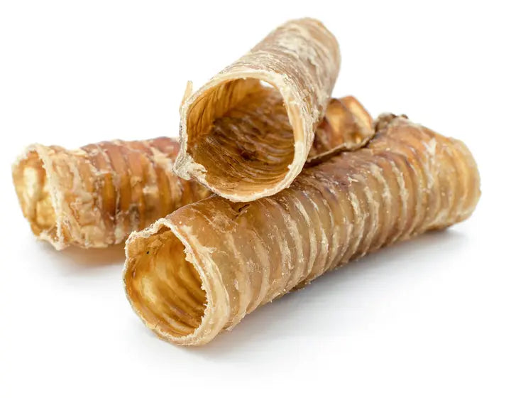 Beef Trachea - 6 Inches PAWMART.ca