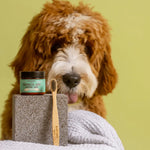 Black Sheep Organics Toothpaste for Dogs Black Sheep Organics