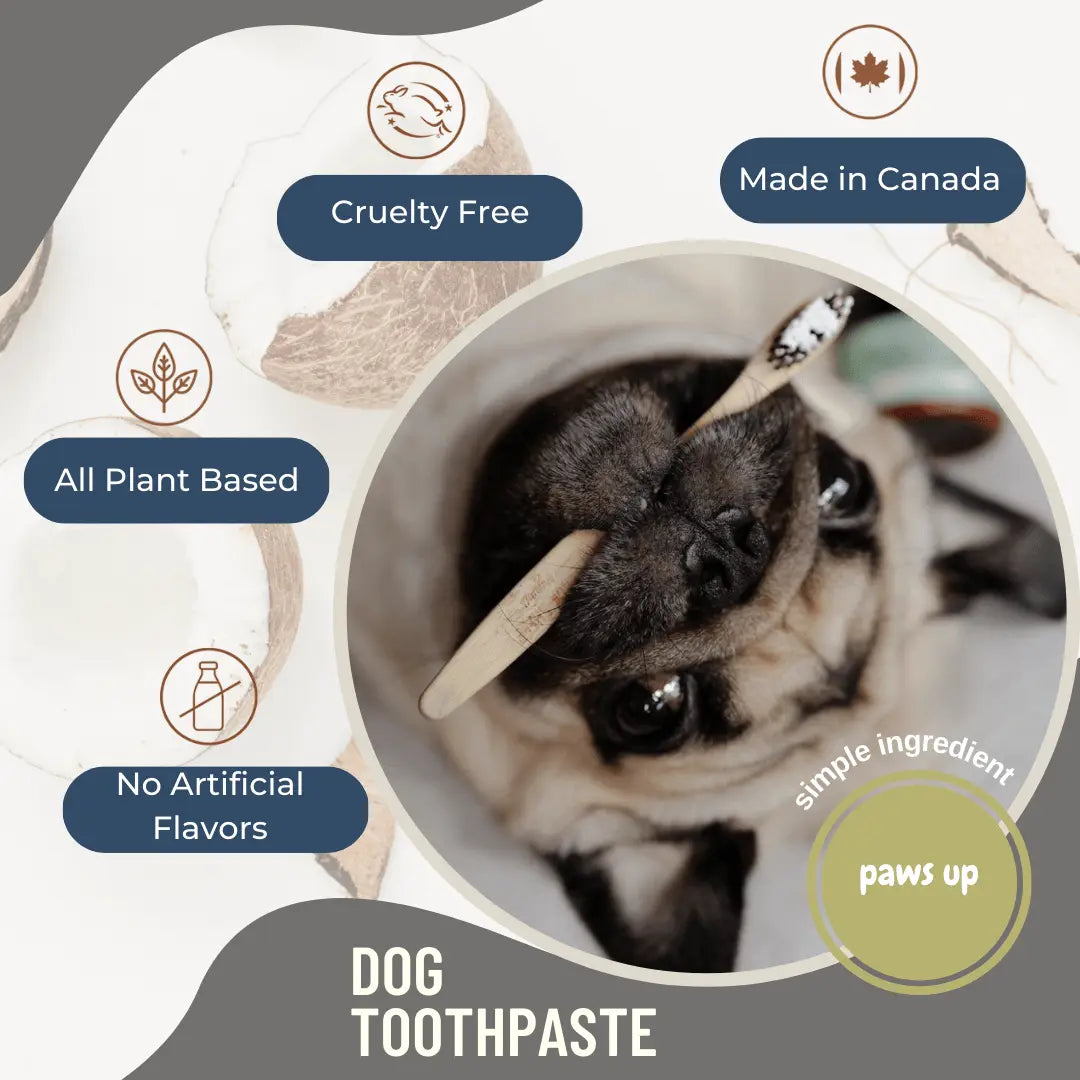 Black Sheep Organics Toothpaste for Dogs Black Sheep Organics