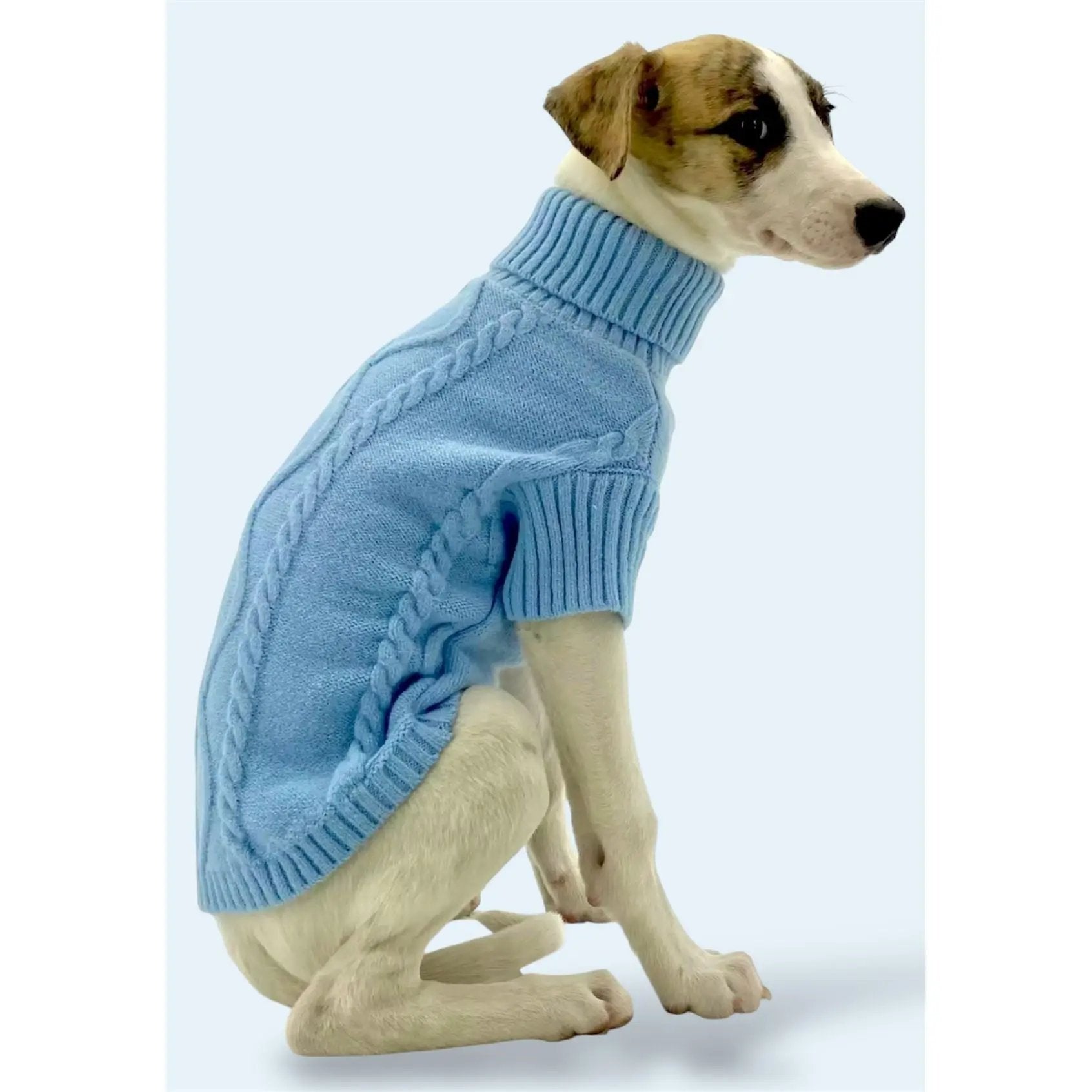 Blue Sweater Puccissimé Pet Couture