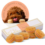 Bonne Filou - Pumpkin Box of 6 Bonne Filou