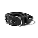 BullyBellows - 5CM PIN COLLAR | NO HANDLE & ROBUST HARDWARE - BLACK PAWMART.ca