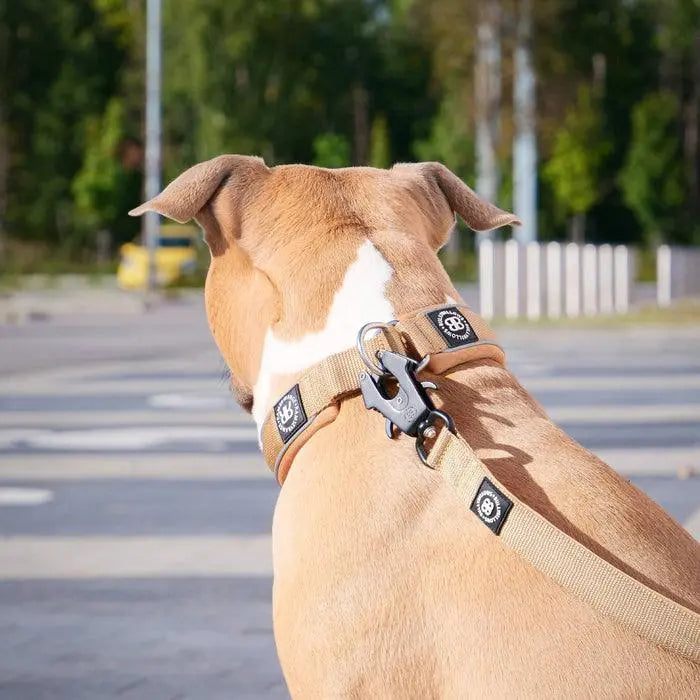 BullyBillows - 1.2M MINI COMBAT LEAD | FOAM & NEOPRENE LINED WITH SOFT HANDLE - Black & Orange - PAWMART.ca