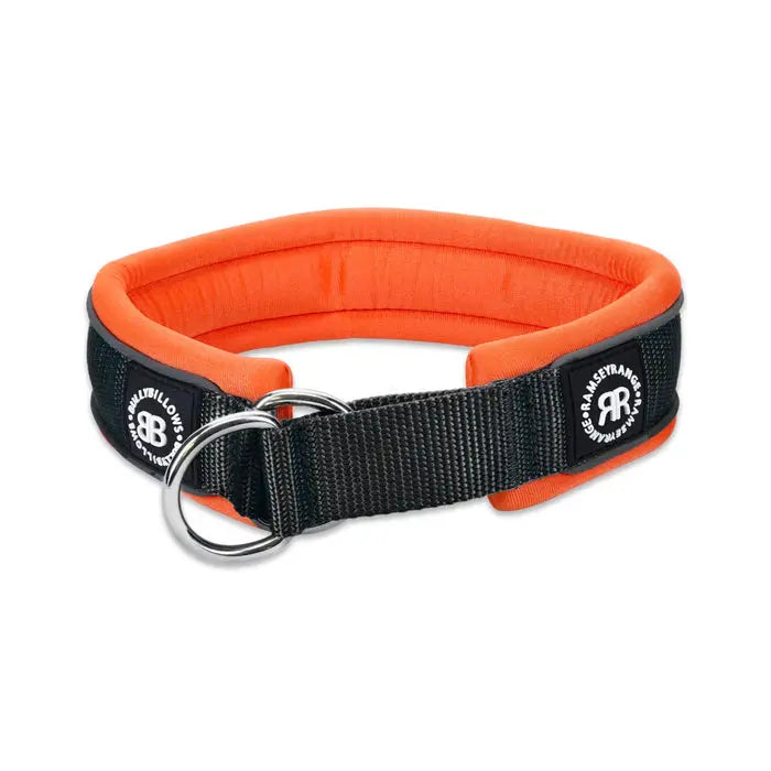 BullyBillows - 4 CM SLIP ON COLLAR | SOFT PADDED & REFLECTIVE - Black& Orange BullyBillows