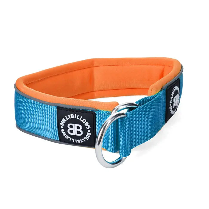 BullyBillows - 4 CM SLIP ON COLLAR | SOFT PADDED & REFLECTIVE - LIGHT BLUE & ORANGE BullyBillows