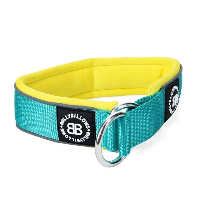 BullyBillows - 4 CM SLIP ON COLLAR | SOFT PADDED & REFLECTIVE - TURQUOISE & YELLOW V2.0 - PAWMART.ca