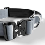 BullyBillows - 4CM COMBAT® COLLAR | RATED CLIP - WITH HANDLE - Metal Grey BullyBillows