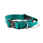 BullyBillows - 4CM COMBAT® COLLAR | RATED CLIP - WITH HANDLE - TURQUOISE BullyBillows