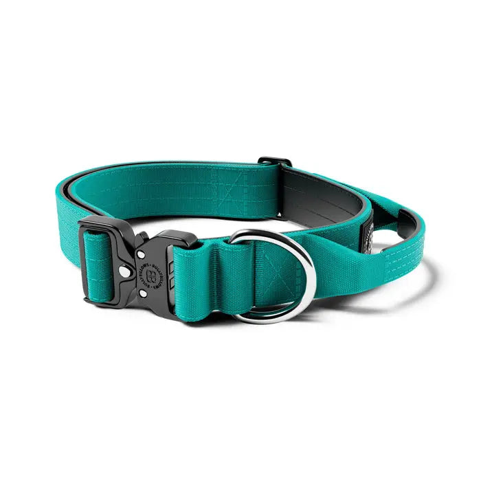 BullyBillows - 4CM COMBAT® COLLAR | RATED CLIP - WITH HANDLE - TURQUOISE BullyBillows