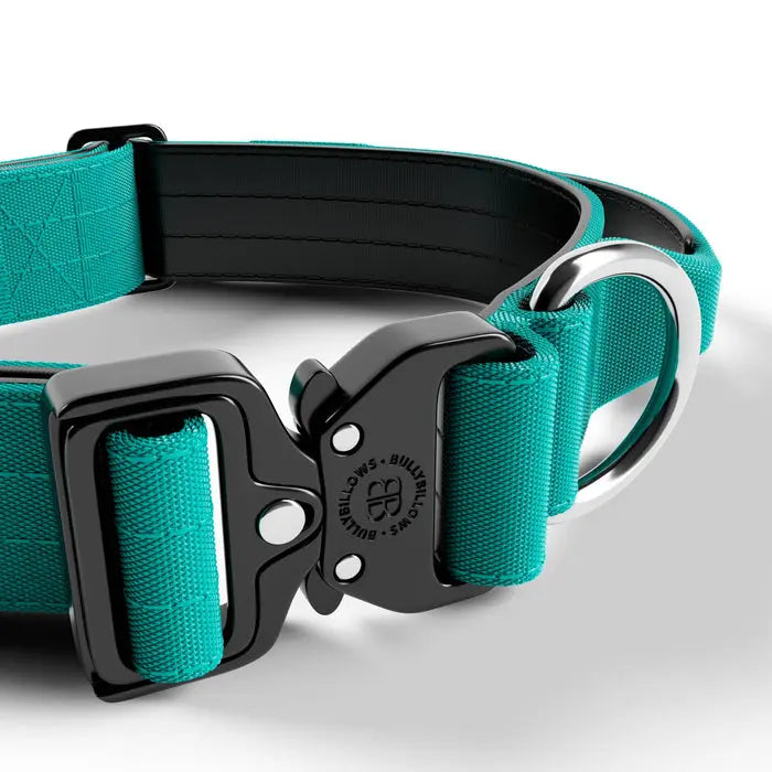 BullyBillows - 4CM COMBAT® COLLAR | RATED CLIP - WITH HANDLE - TURQUOISE BullyBillows