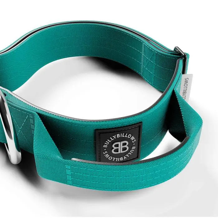 BullyBillows - 4CM COMBAT® COLLAR | RATED CLIP - WITH HANDLE - TURQUOISE - PAWMART.ca