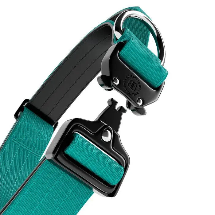 BullyBillows - 4CM COMBAT® COLLAR | RATED CLIP - WITH HANDLE - TURQUOISE - PAWMART.ca