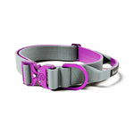 BullyBillows - 4CM LIGHTER COMBAT® COLLAR | WITH HANDLE RATED CLIP - PURPLE & METAL GREY BullyBillows