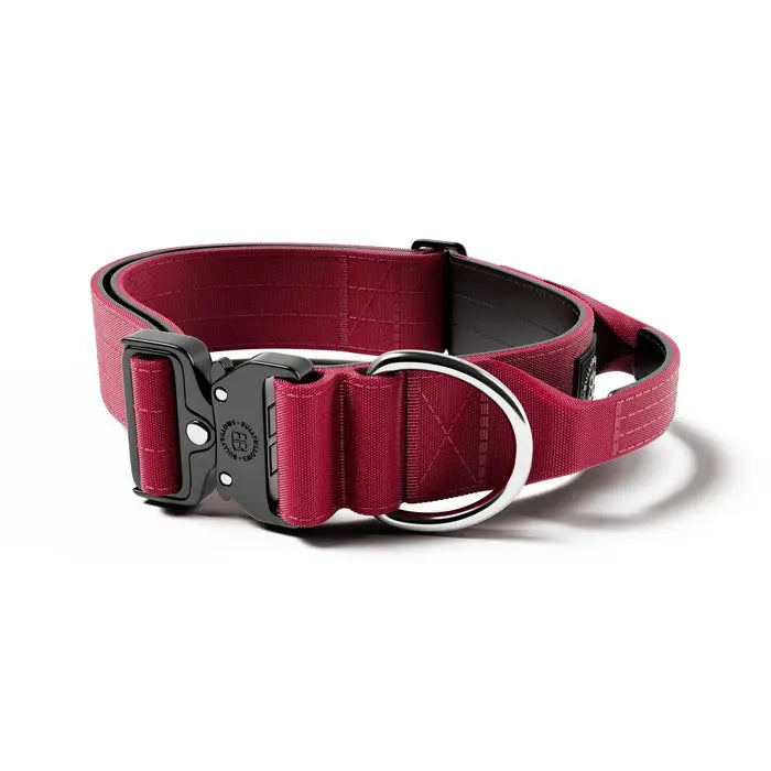 BullyBillows - 5CM COMBAT® COLLAR | WITH HANDLE & RATED CLIP - Burgundy BullyBillows