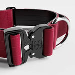 BullyBillows - 5CM COMBAT® COLLAR | WITH HANDLE & RATED CLIP - Burgundy - PAWMART.ca