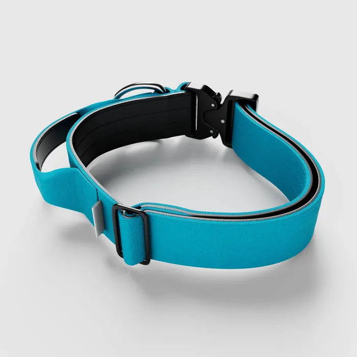 BullyBillows - 5CM COMBAT® COLLAR | WITH HANDLE & RATED CLIP - Light Blue BullyBillows