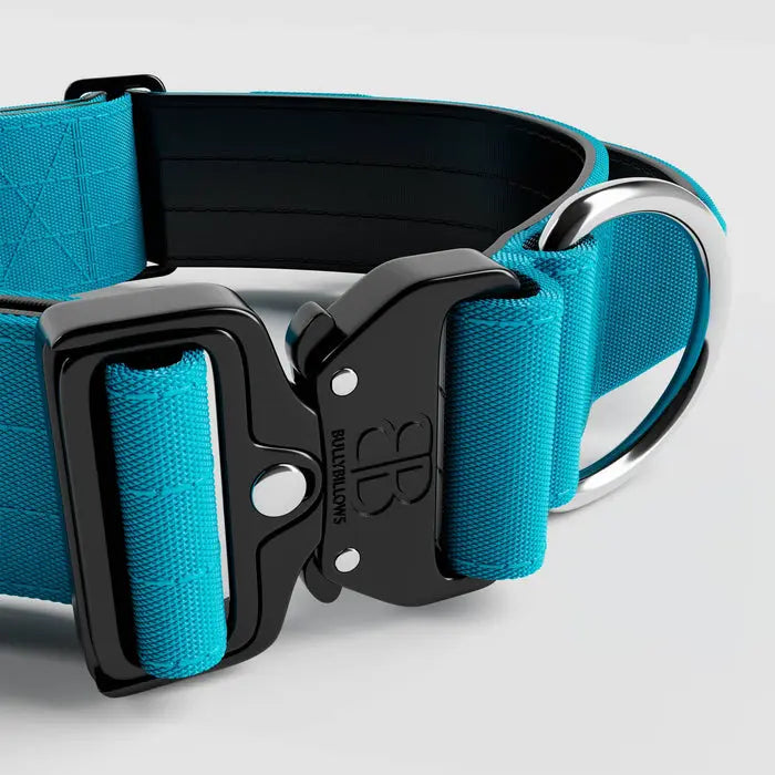 BullyBillows - 5CM COMBAT® COLLAR | WITH HANDLE & RATED CLIP - Light Blue BullyBillows