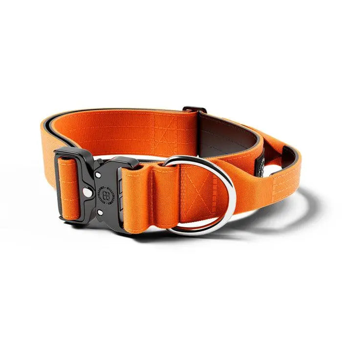 BullyBillows - 5CM COMBAT® COLLAR | WITH HANDLE & RATED CLIP - Orange - PAWMART.ca