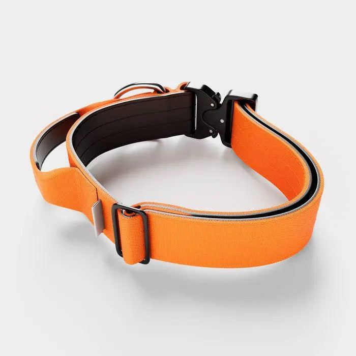 BullyBillows - 5CM COMBAT® COLLAR | WITH HANDLE & RATED CLIP - Orange - PAWMART.ca