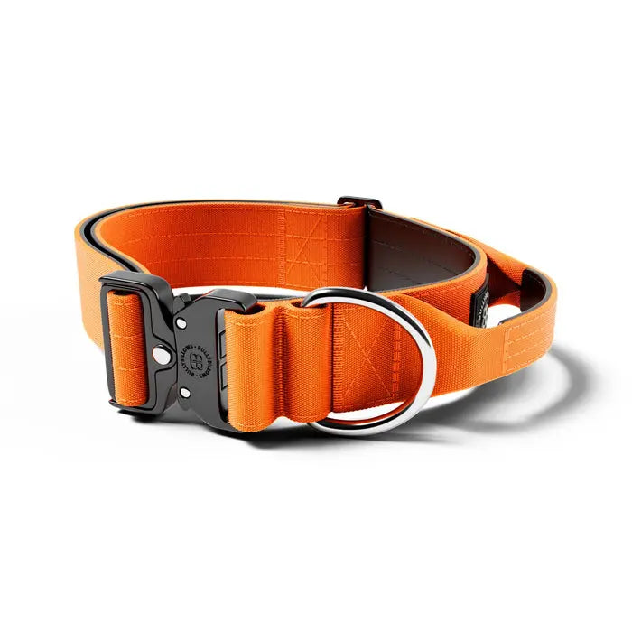 BullyBillows - 5CM COMBAT® COLLAR | WITH HANDLE & RATED CLIP - Orange BullyBillows